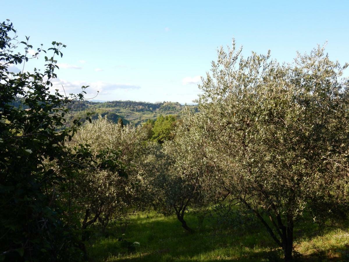 Agriturismo Anna-Rosa Legoli Exterior photo